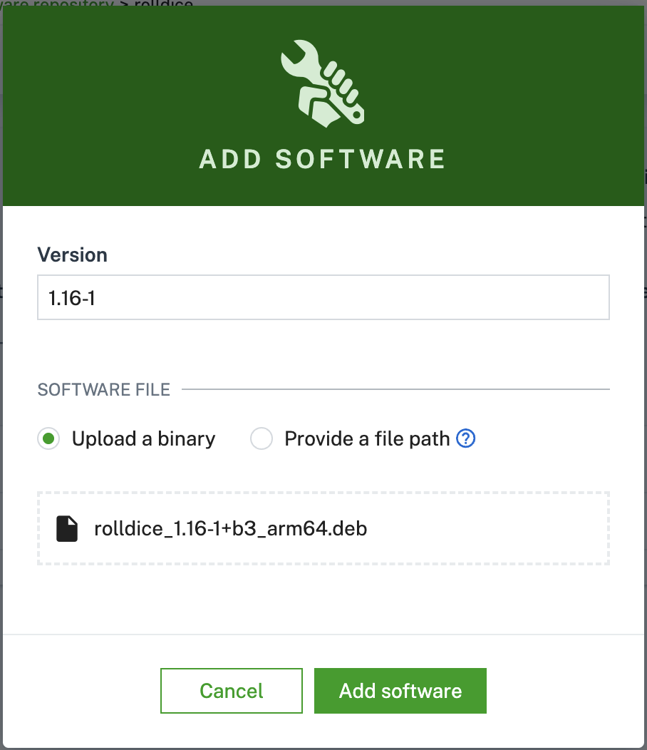 Add new software from uploaded binary